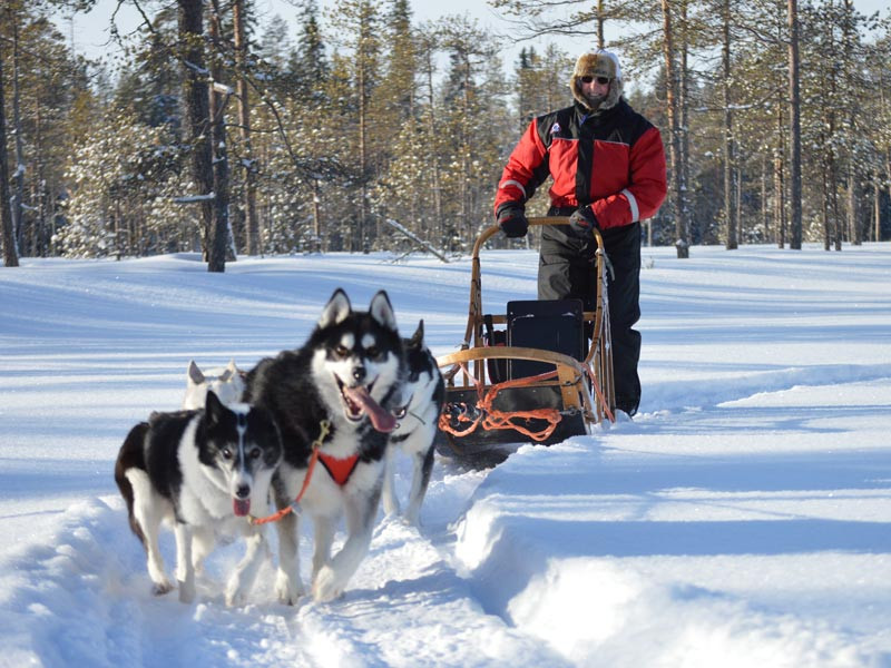 Are Sweden, Norway and Finland In The EU? Do They Use The Euro? Photo George Baker.