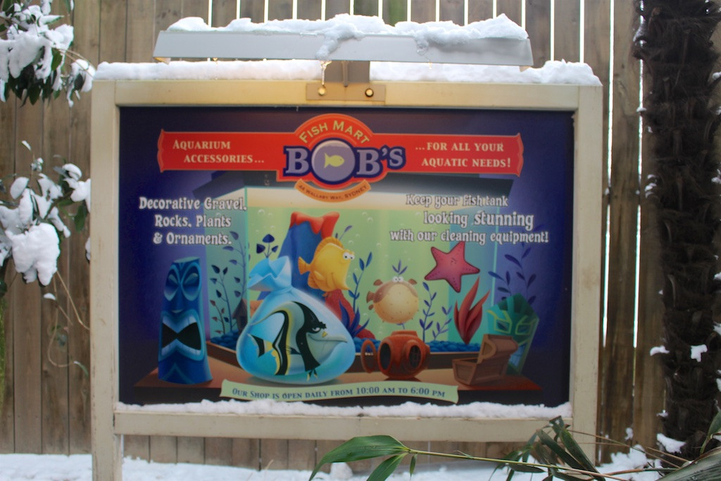Crush's Coaster Line in Cold Weather
