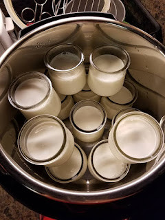 Yogurt in glass jars